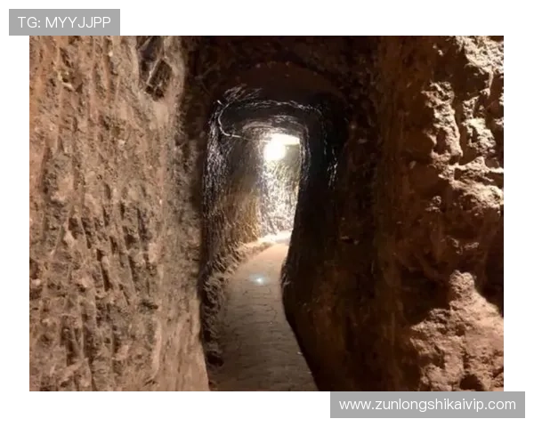 凯时在线地址官方入口更新，第一时间掌握最新登录地址信息