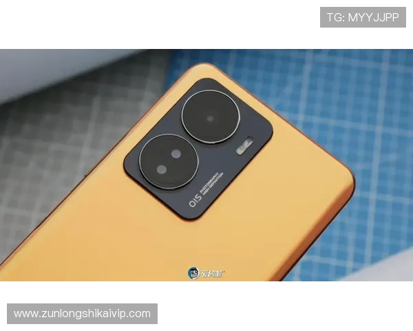 Z6就是博：如何在Z6游戏中快速提升等级与获取稀有资源