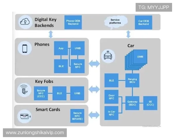掌握AG登录网站的多种登录方式，满足不同设备和网络环境下的访问需求